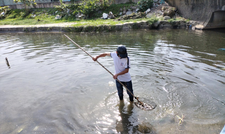 Công ty thoát nước và xử lý nước thải thành phố Đà Nẵng vớt cá chết khu vực ven biển - Ảnh: H.THÀNH