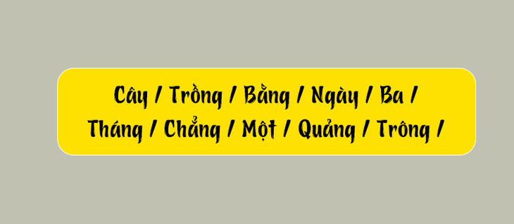Thử tài tiếng Việt: Sắp xếp các từ sau thành câu có nghĩa (P97)- Ảnh 3.