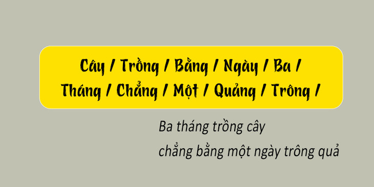Thử tài tiếng Việt: Sắp xếp các từ sau thành câu có nghĩa (P97)- Ảnh 4.