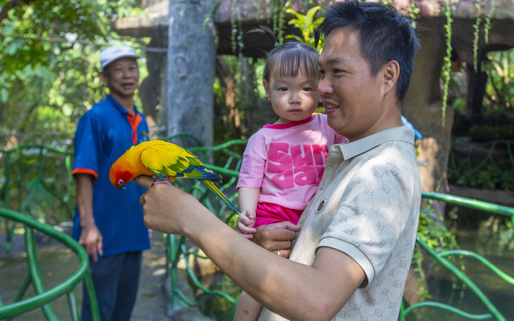 Đà Nẵng tăng khách nhưng nhiều nơi bán vé vẫn 