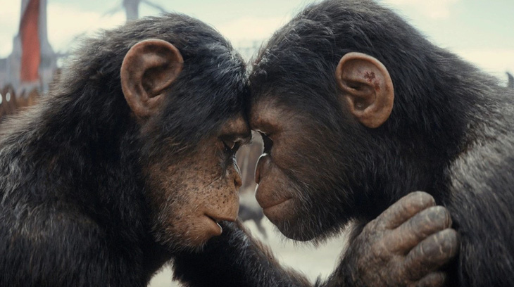 Cảnh trong phim Hành tinh khỉ: Vương quốc mới