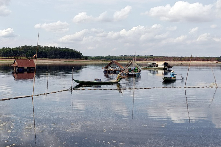 Sau nhiều ngày nỗ lực, đơn vị nuôi trồng thủy sản đã cơ bản thu dọn hết xác cá chết tại lòng hồ Sông Mây - Ảnh: M.T.