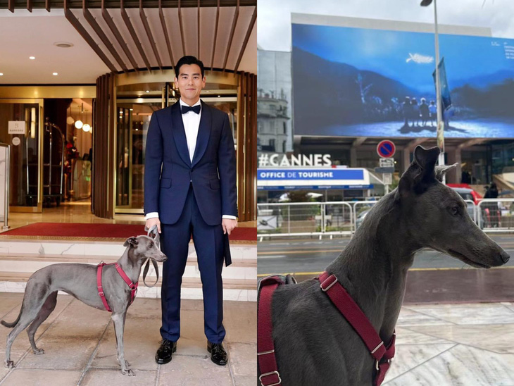 Bành Vu Yến bảnh bao, dẫn theo cún cưng đi dự Cannes 2024 - Ảnh: Weibo