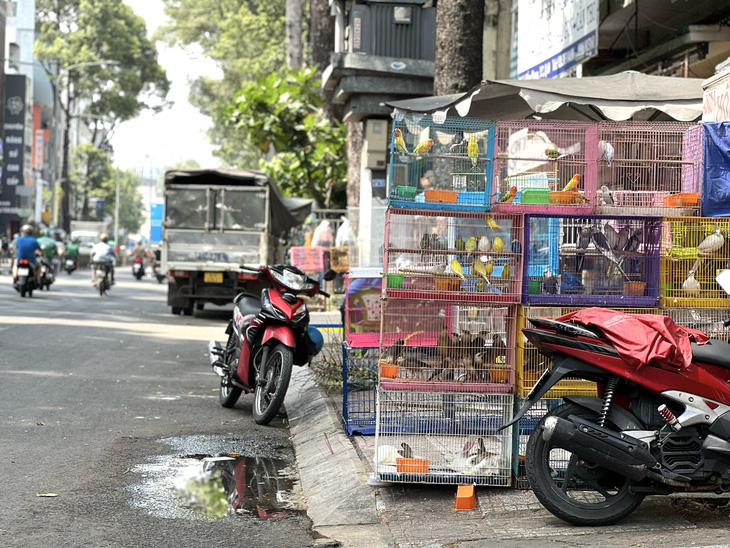 Khổ sở với cửa hàng bán thú cưng nhưng phường nói không cấm được