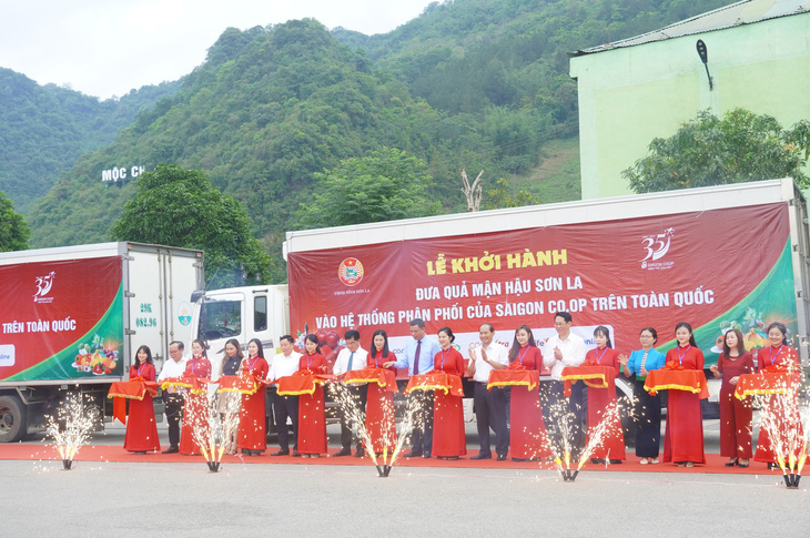 Các lãnh đạo tỉnh Sơn La và Saigon Co.op phát động lễ khởi hành đưa quả mận hậu Sơn La vào hệ thống siêu thị - Ảnh: NGỌC KHANG