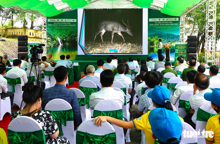 Toàn cảnh sự kiện hưởng ứng Ngày Quốc tế đa dạng sinh học được tổ chức tại Vườn quốc gia Vũ Quang - Ảnh: LÊ MINH