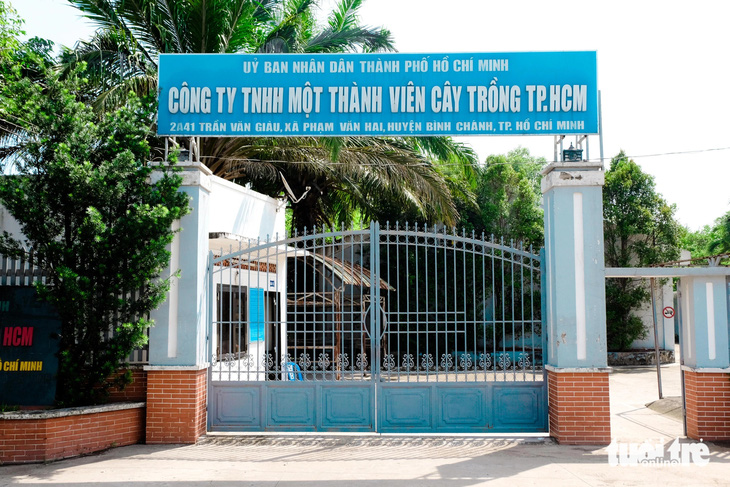 Trụ sở Công ty TNHH MTV Cây trồng TP.HCM (Công ty Cây trồng) tại huyện Bình Chánh - Ảnh: PHƯƠNG NHI