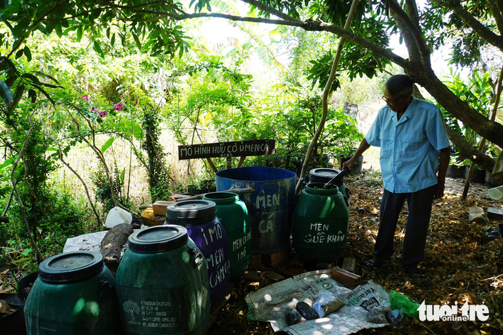 Trong vườn nhãn của ông Lê Thành Lập, xã An Nhơn, huyện Châu Thành, có nhiều thùng phân hữu cơ bón cho cây - Ảnh: ĐẶNG TUYẾT