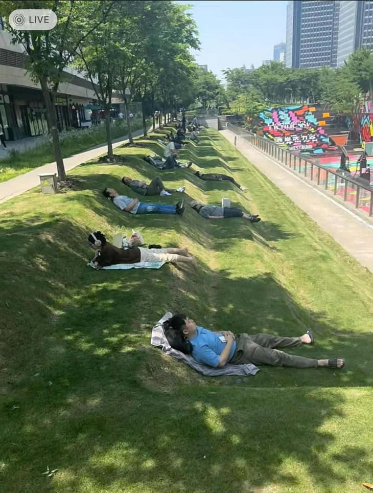 Thiết kế công viên dành cho người chỉ thích nằm.