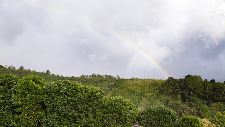 Cầu vồng sau cơn mưa giải nhiệt gió Lào tại Hướng Hóa, Quảng Trị - Ảnh: HOÀNG TÁO