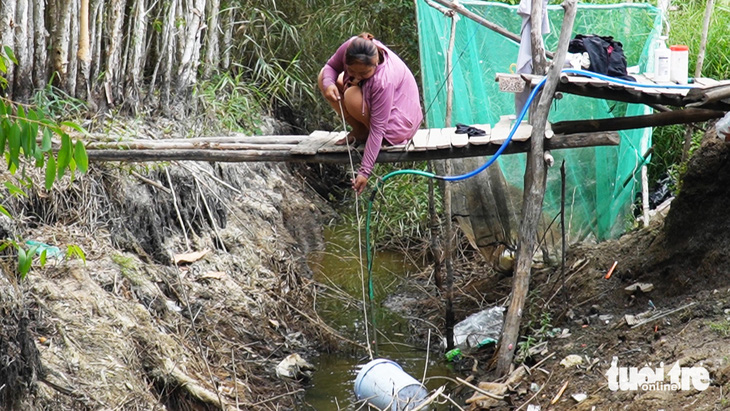 Người dân ở Cà Mau được vận động đào các ao đìa lớn có dung tích lớn hơn 500m3 và có giải pháp để bảo vệ nguồn nước đảm bảo an toàn, vệ sinh - Ảnh: THANH HUYỀN