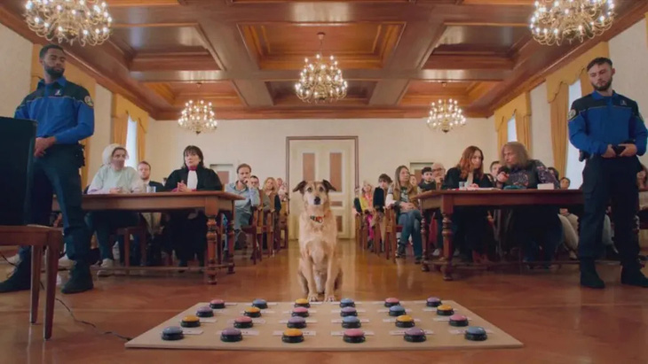 Một cảnh trong phim Dog on Trial, chú chó Kodi đang bị xét xử trước tòa - Ảnh: Cannes