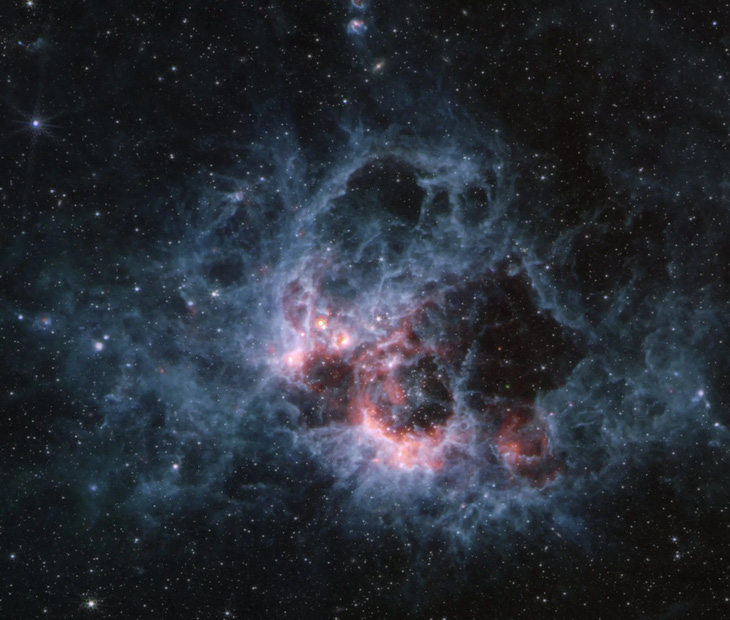 Những ngôi sao nóng, khổng lồ ở giai đoạn đầu đời của chúng ẩn mình trong lớp bụi của NGC 604. Vùng hình thành sao này nằm trong thiên hà Tam Giác, cách chúng ta 2,73 triệu năm ánh sáng - Hình ảnh: NASA, ESA, CSA, STScI