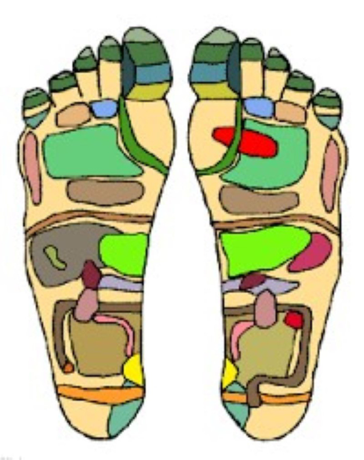 Lòng bàn chân là nơi tập trung rất nhiều huyệt vị, phản chiếu tương ứng toàn bộ các cơ quan quan trọng bên trong cơ thể - Ảnh minh họa