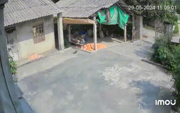 Động đất ở Lục Yên, Yên Bái