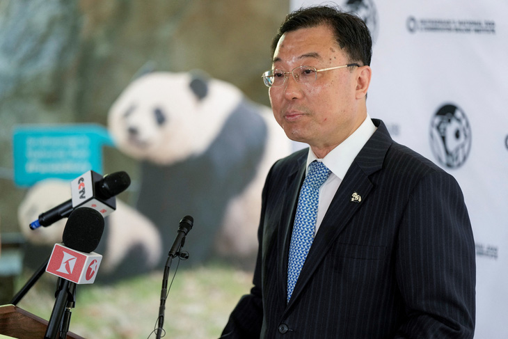 Đại sứ Trung Quốc tại Mỹ Tạ Phong phát biểu ở sự kiện công bố gửi cặp gấu trúc Bao Li và Qing Bao đến Washington ngày 29-5 - Ảnh: REUTERS