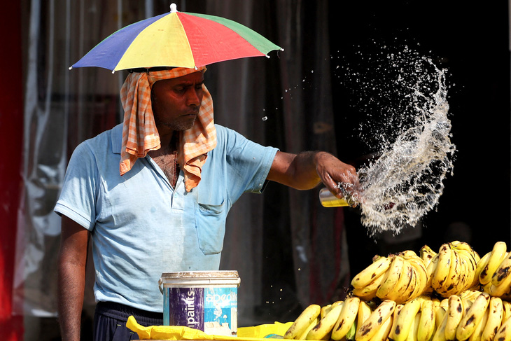 Một tiểu thương tưới nước lên trái cây để tránh hư hỏng tại thành phố Varasani, Ấn Độ, ngày 27-5 - Ảnh: AFP