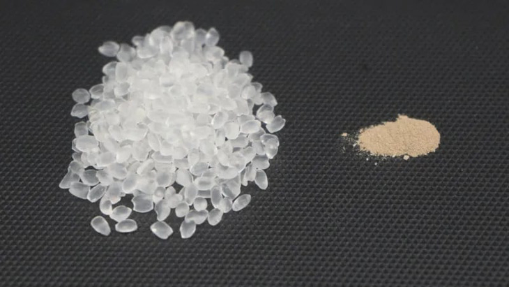 Bên trái là hạt nhựa Polyurethane, bên phải là bột bào tử - Ảnh: Han Sol Kim