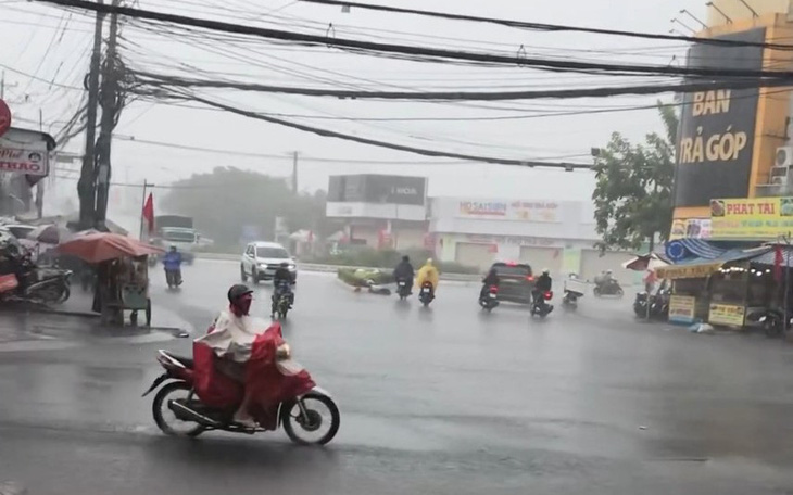 'Mưa vàng' đổ xuống miền Tây, Quảng Nam, Tây Nguyên