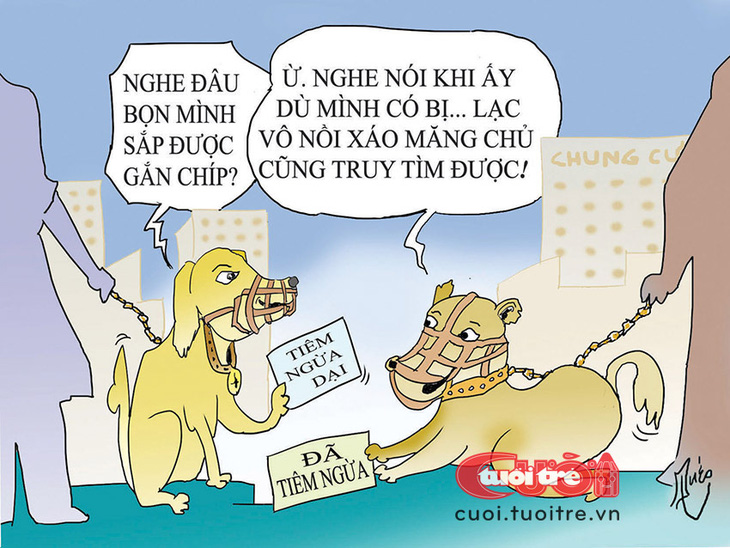 Lạc vô nồi xáo măng cũng truy tìm được... - Tranh: Quéo 