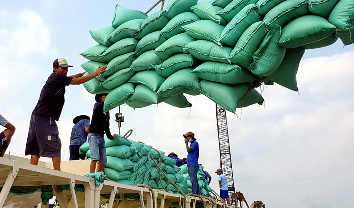 Gạo xuất khẩu lên tàu tại An Giang - Ảnh: BỬU ĐẤU