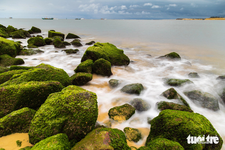 Quảng Trị nghiên cứu thảm cỏ biển để thu lợi từ việc bán tín chỉ carbon - Ảnh: HOÀNG TÁO