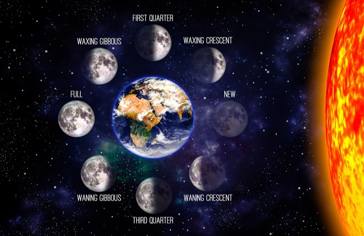 Hình minh họa về các giai đoạn khác nhau của Mặt trăng - Ảnh: Shutterstock