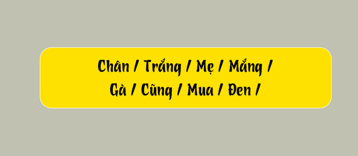 Thử tài tiếng Việt: Sắp xếp các từ sau thành câu có nghĩa (P106)- Ảnh 1.