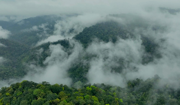 Đỉnh U Bò quanh năm mây phủ và được ví như Đà Lạt là một điểm nhấn du lịch mới được giới thiệu trong đề án phát triển du lịch của Vườn Quốc gia Phong Nha - Kẻ Bàng.