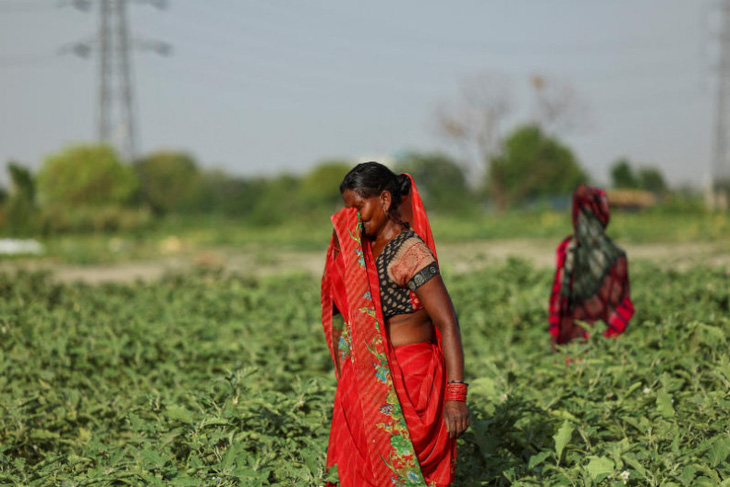 Một người phụ nữ Ấn Độ lau vội những giọt mồ hôi dưới cái nóng gay gắt - Ảnh: REUTERS
