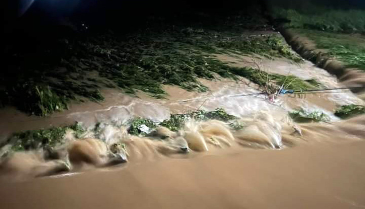Nhiều diện tích lúa, ngô của người dân ở xã Cát Thịnh (huyện Văn Chấn) bị thiệt hại do mưa lũ - Ảnh: V. CHẤN