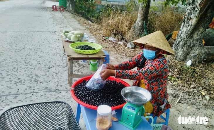 Trái trâm được bày bán ven tỉnh lộ 943 đoạn qua xã Núi Tô, huyện Tri Tôn, tỉnh An Giang - Ảnh: ĐẶNG TUYẾT