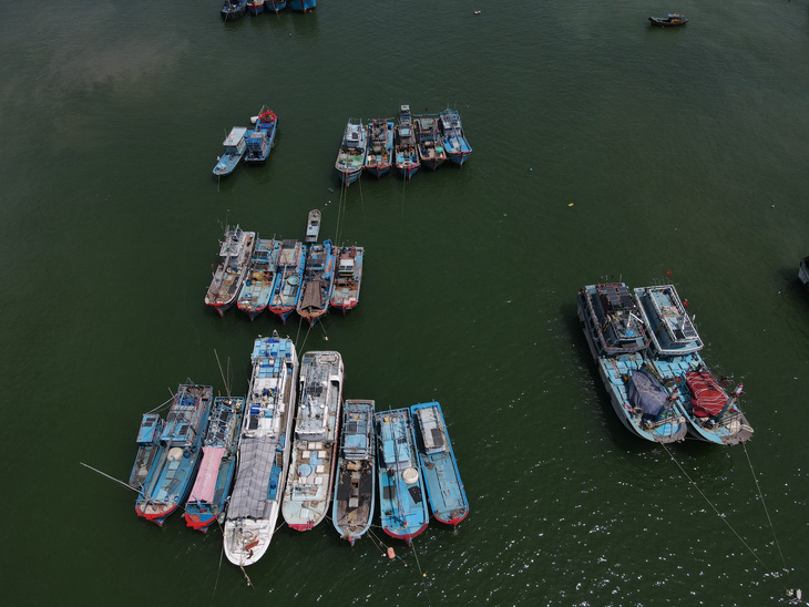 Bộ Nông nghiệp và Phát triển nông thôn đề nghị tỉnh Khánh Hòa báo cáo kết quả thực hiện trước ngày 20-5. Trong ảnh: tàu cá của ngư dân TP Nha Trang neo đậu ở cảng - Ảnh: TRẦN HƯỚNG