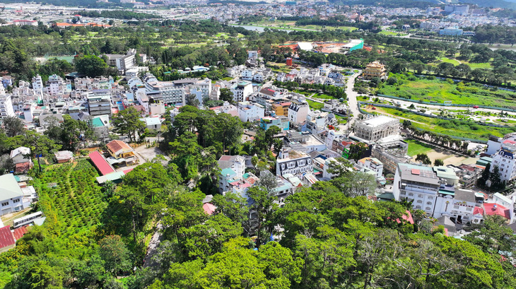 Bộ Công an yêu cầu Lâm Đồng, Quảng Ngãi, Đắk Lắk cung cấp hồ sơ dự án cây xanh đô thị