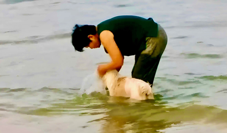 Đưa chó xuống biển tắm - Ảnh: MINH CHIẾN