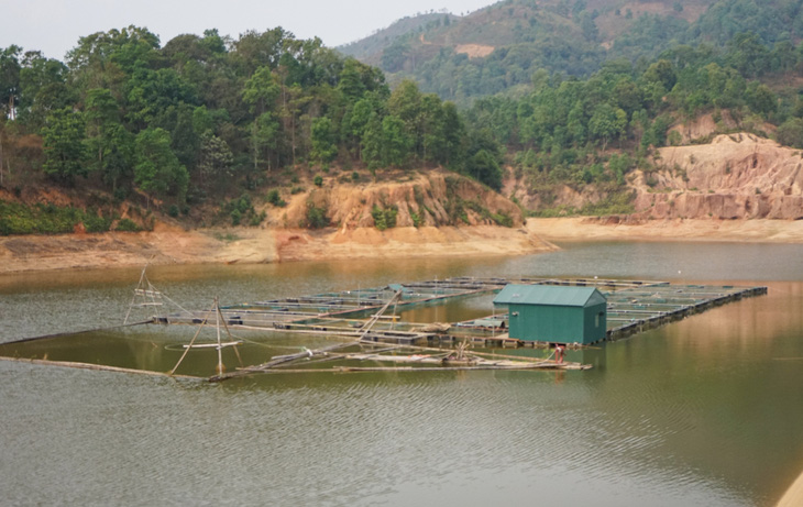 Mô hình nuôi cá đặc sản trên hồ Noọng Luông - Ảnh: VŨ TUẤN