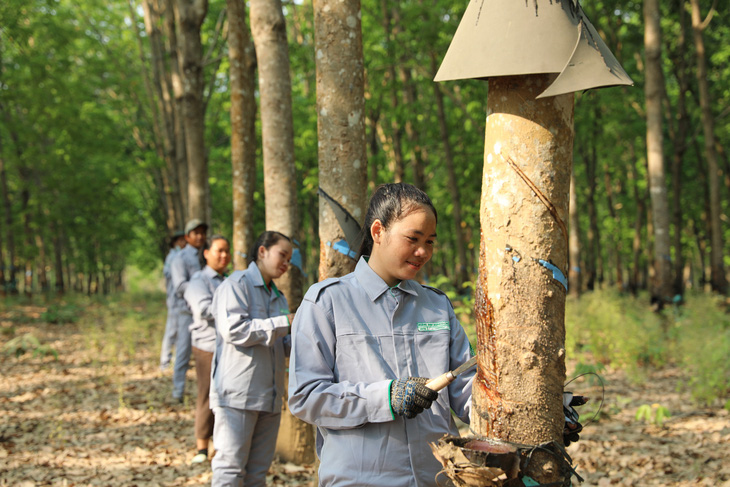 THACO AGRI đẩy mạnh tuyển dụng công nhân tại các địa phương thuộc Lào, Campuchia