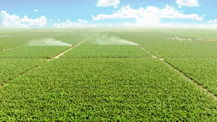 THACO AGRI ứng dụng cơ giới hóa, công nghệ sinh học và số hóa vào sản xuất nông nghiệp quy mô lớn