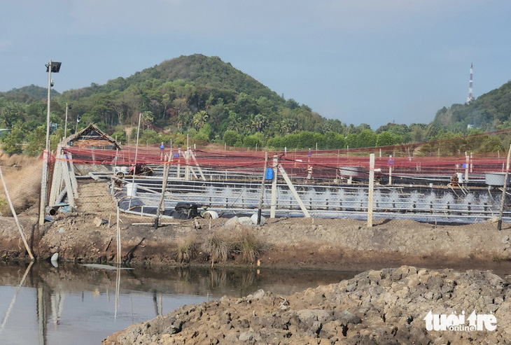 Trang trại nuôi tôm công nghệ cao của lãnh đạo Thanh tra TP Hà Tiên có đâm ống xả nước ra kênh Đồn Tả đang bốc mùi hôi thối - Ảnh: BỬU ĐẤU
