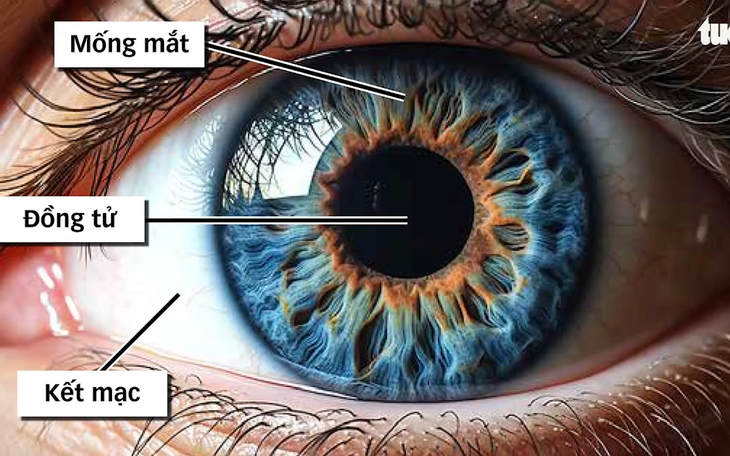 Từ 1-7, mống mắt sẽ được thu nhận khi người dân làm căn cước mới