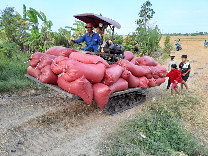 Ngành nông nghiệp An Giang tiếp tục theo dõi, đôn đốc Tập đoàn Lộc Trời trả nợ và lãi tiền mua lúa cho nông dân - Ảnh: CHÍ HẠNH