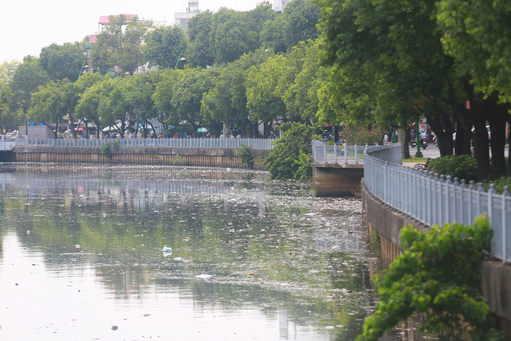 Sau vài cơn mưa đầu mùa, cá và rác lại nổi trên kênh Nhiêu Lộc - Thị Nghè- Ảnh 6.