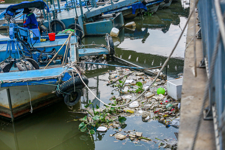 Sau vài cơn mưa đầu mùa, cá và rác lại nổi trên kênh Nhiêu Lộc - Thị Nghè- Ảnh 4.