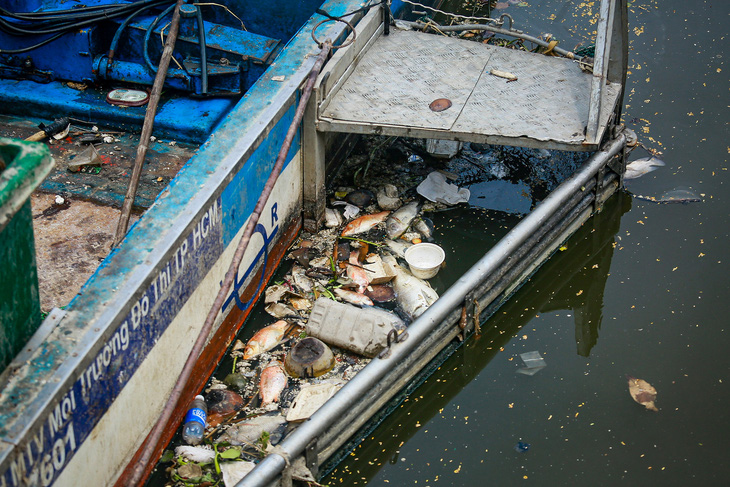Sau vài cơn mưa đầu mùa, cá và rác lại nổi trên kênh Nhiêu Lộc - Thị Nghè- Ảnh 5.