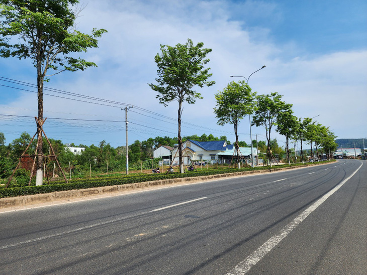 Công trình cây xanh trên TP Phú Quốc - Ảnh: TIẾN MINH
