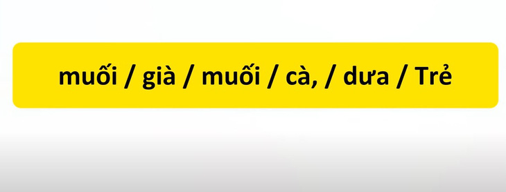Thử tài tiếng Việt: Sắp xếp các từ sau thành câu có nghĩa (P87)- Ảnh 3.