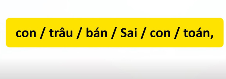 Thử tài tiếng Việt: Sắp xếp các từ sau thành câu có nghĩa (P89)- Ảnh 1.