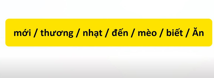 Thử tài tiếng Việt: Sắp xếp các từ sau thành câu có nghĩa (P89)- Ảnh 3.