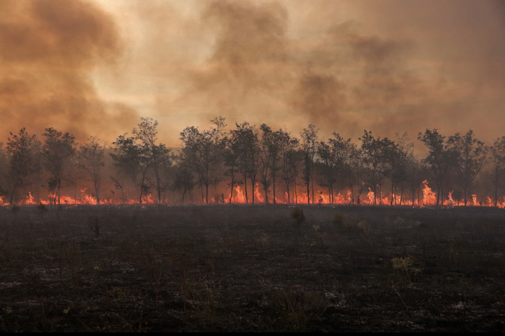 Cháy rừng tại Công viên quốc gia Dadia, Hy Lạp ngày 1-9-2023 - Ảnh: REUTERS
