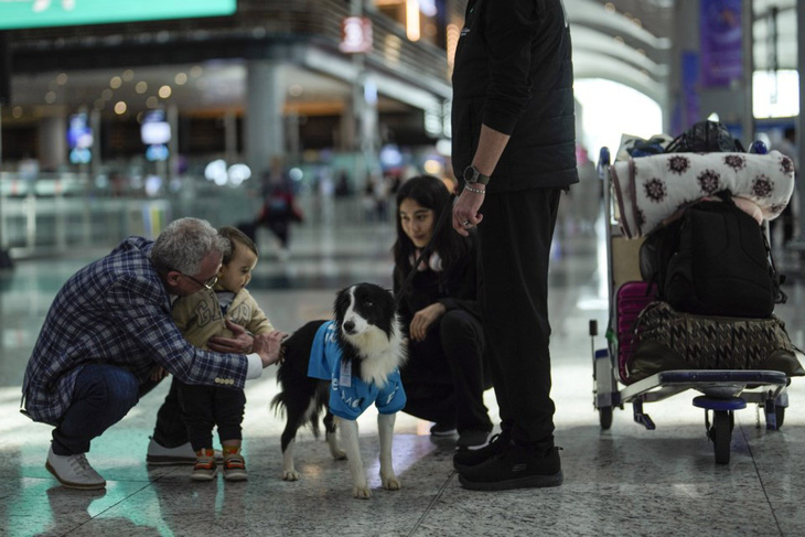 Khách du lịch vuốt ve chú chó trị liệu Alita ở sân bay